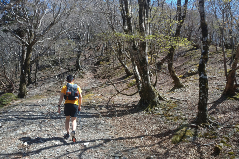 修験道を行く:敦賀から潮岬までをつなぐ460km