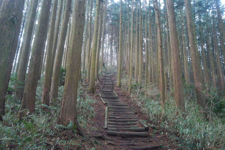 修験道を行く:敦賀から潮岬までをつなぐ460km