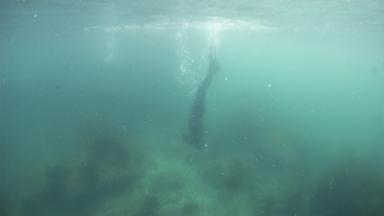 海に潜るシェフ