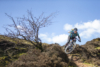 manon carpenter mountain biking in the uk managed landscapes