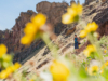 Smith Rock Is Animal Village