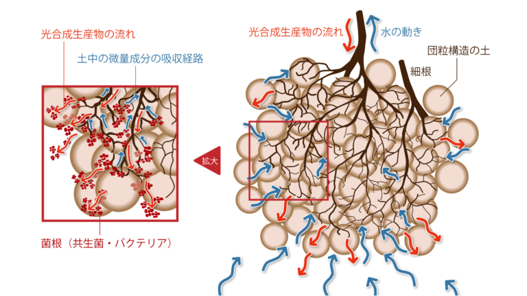 本来の土木