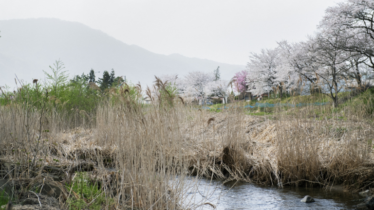 風景に溶ける日々