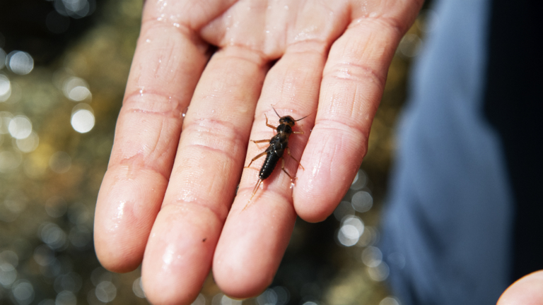 風景に溶ける日々