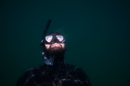 Brittle Stars