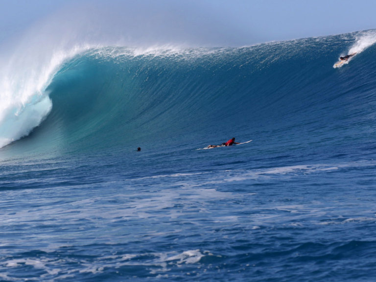 Swell: A Year of Waves (Ocean Coffee Table Book, Book About Surfing)