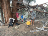 Una familia de cinco en el Pacific Crest Trail