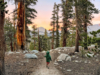 Una familia de cinco en el Pacific Crest Trail