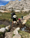 Una familia de cinco en el Pacific Crest Trail