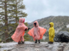 A Family of Five on the PCT