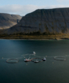 Laxaþjóð | A Salmon Nation