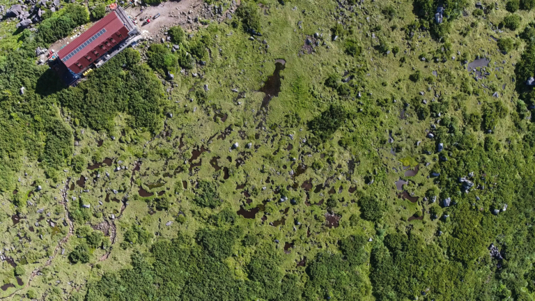 人と自然の関係を再構築する：雲ノ平トレイルクラブ