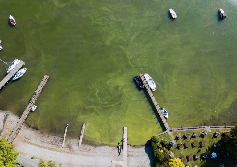 Saving Windermere