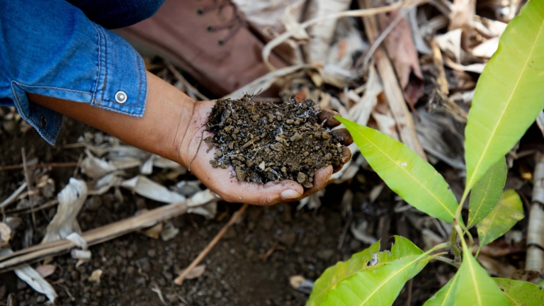 健康のはじまりは土から