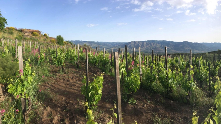 アルピニズムが息づく「液体の岩」