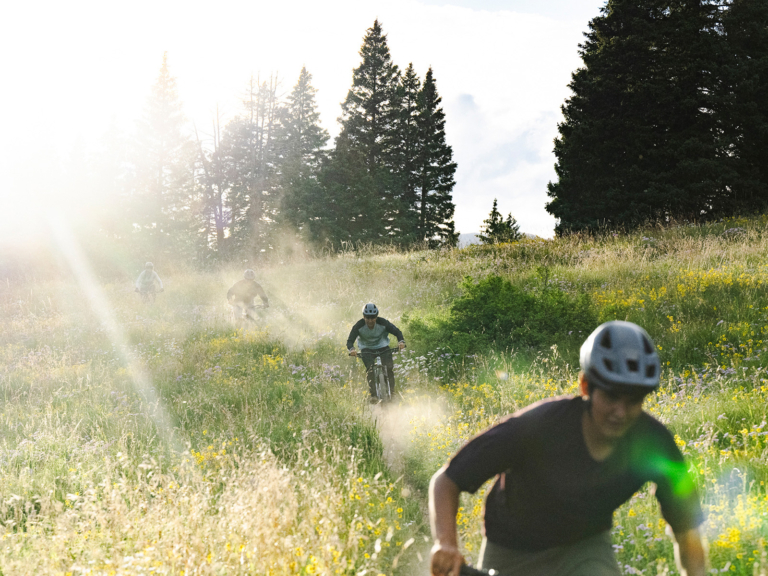 ひとときの平和