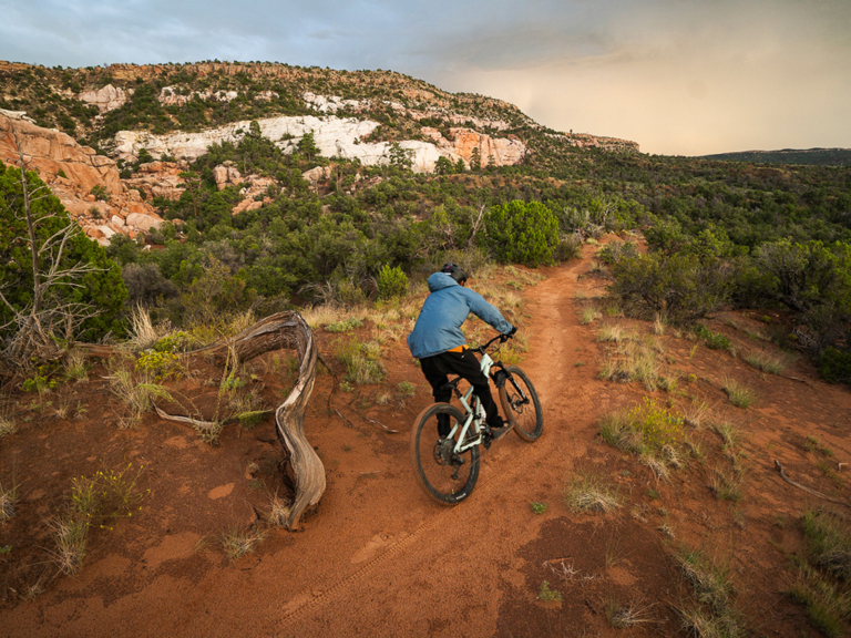 ひとときの平和