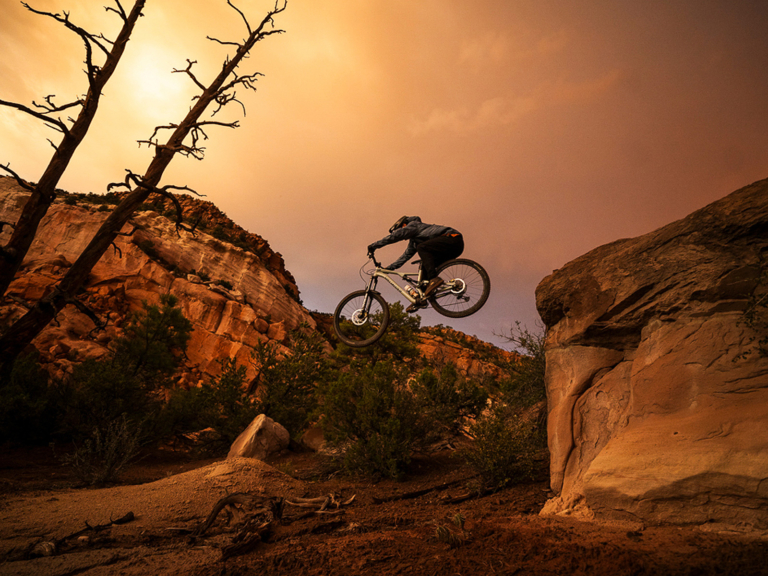 ひとときの平和