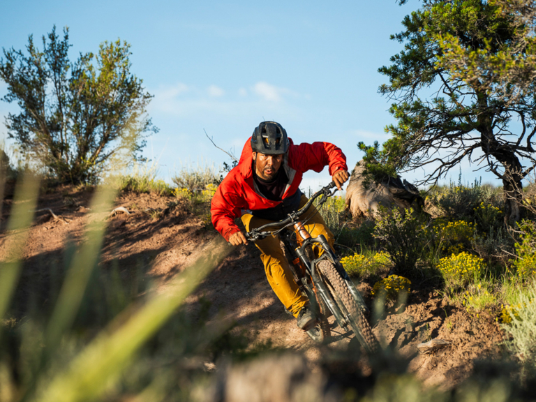 ひとときの平和