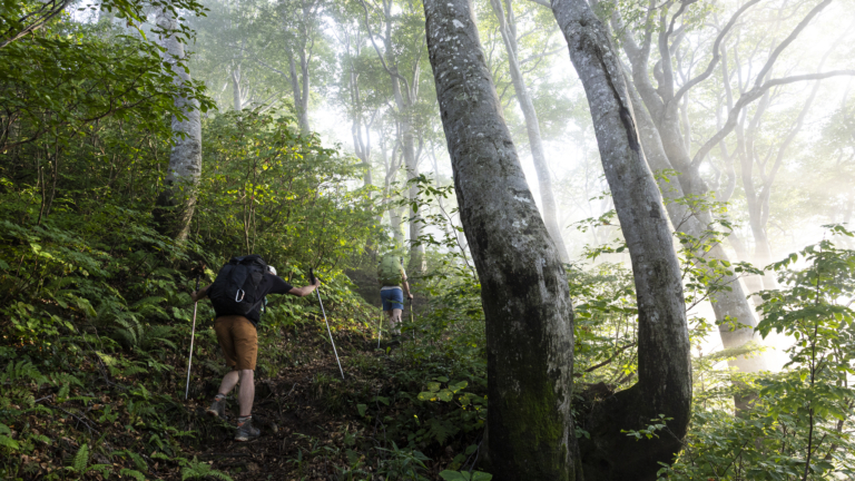 栂海新道：アルプスから日本海へ消える足跡を追って