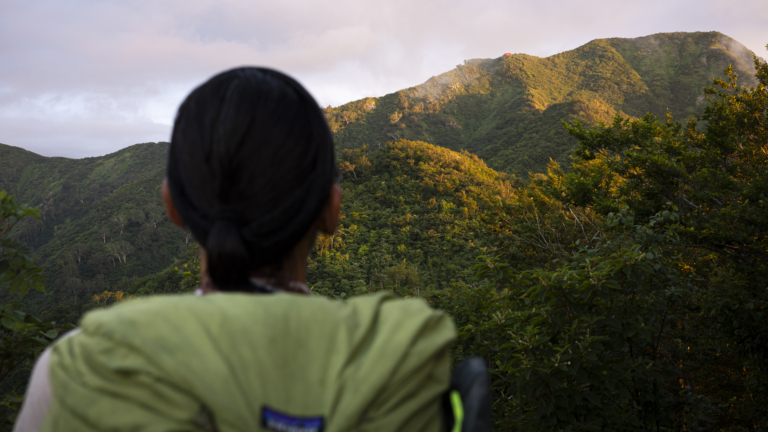 栂海新道：アルプスから日本海へ消える足跡を追って