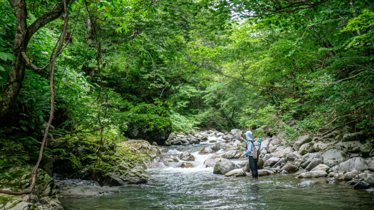 スポーツ ・ストーリー - パタゴニア - Patagonia レア？ シュイナード