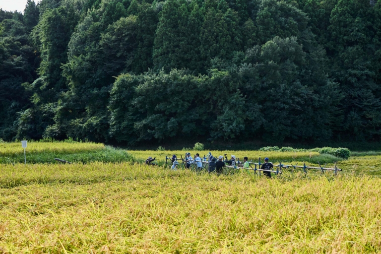 田んぼからはじまる、地球再生のストーリー