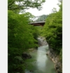 日本の川の自由な流れを目指して ：「フリー・トゥ・フロー &#8211; 川と流域を守る」キャンペーン