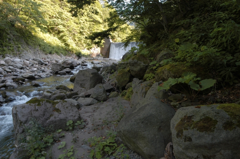 川に転がっているごくごくありふれた石が川の水を命を育む流れに変える