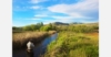 『Tributaries(トリビュタリーズ)』:対照と共通についての国際フライフィッシング映画
