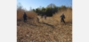 荒川の大草原を守るために：グループインターンシップでの取り組み