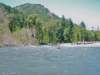 甦った川：ダム撤去後のエルワ・リバーを流れる