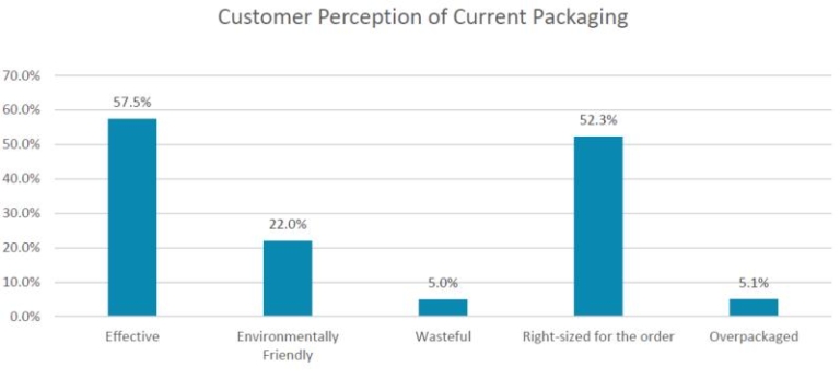 パタゴニアのプラスチック梱包:衣類配送の課題に関する調査報告書