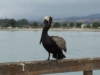 どうすれば原油流出事故を防ぐことができるのか