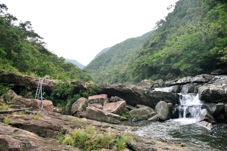 沖縄県最長河川のいま:西表島・浦内川(後編)