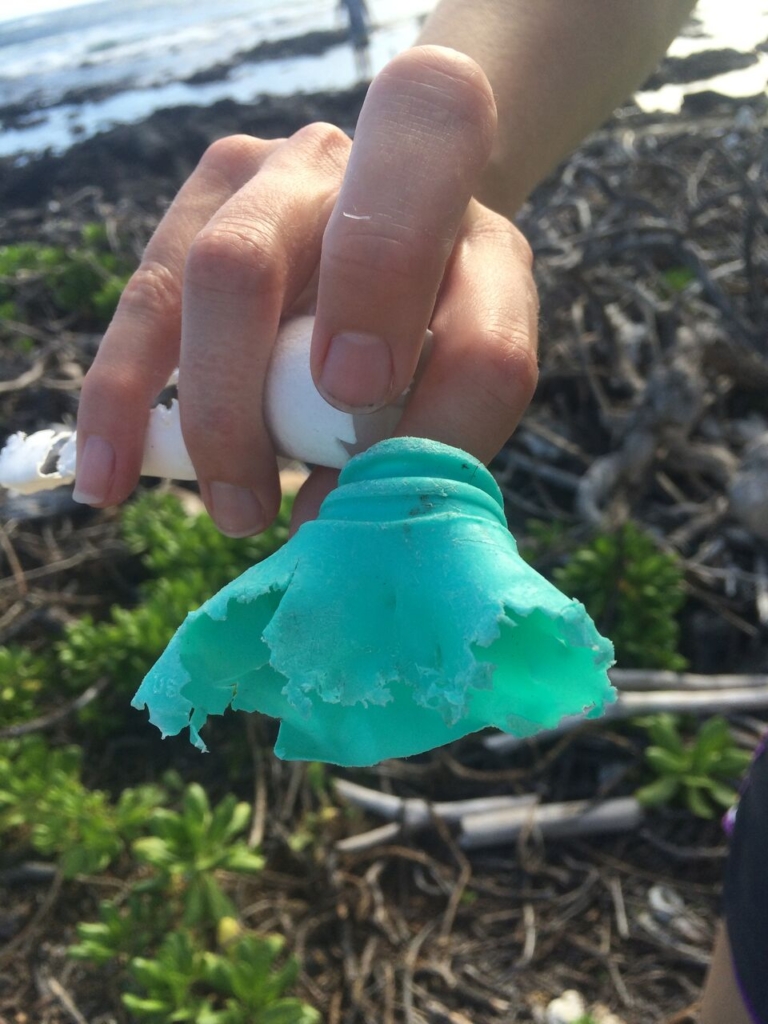 海の呼吸がとまる前に