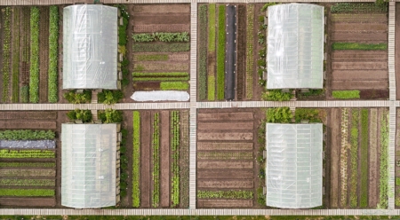 世界の果ての菜園