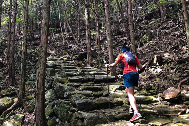 鈴鹿山脈から熊野へ 三重縦断300km
