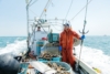 震災のその先に。海と生きる、南三陸のカキ漁師たち