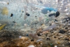 プラスチック問題についてパタゴニアが行なっていること