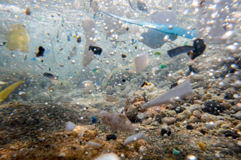 プラスチック問題についてパタゴニアが行なっていること