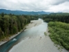 ひとつの川を救う：減少するホー・リバーのスチールヘッド