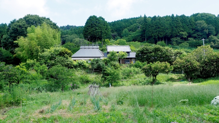 農業のありかたを土壌の保全とともに考えなおす