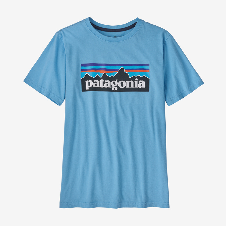 Patagonia Boys' Regenerative Organic Certified Cotton P-6 Logo T-Shirt Lago Blue / L