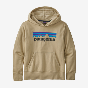 Polerón Niños con Capucha Lightweight Graphic Hoody Sweatshirt