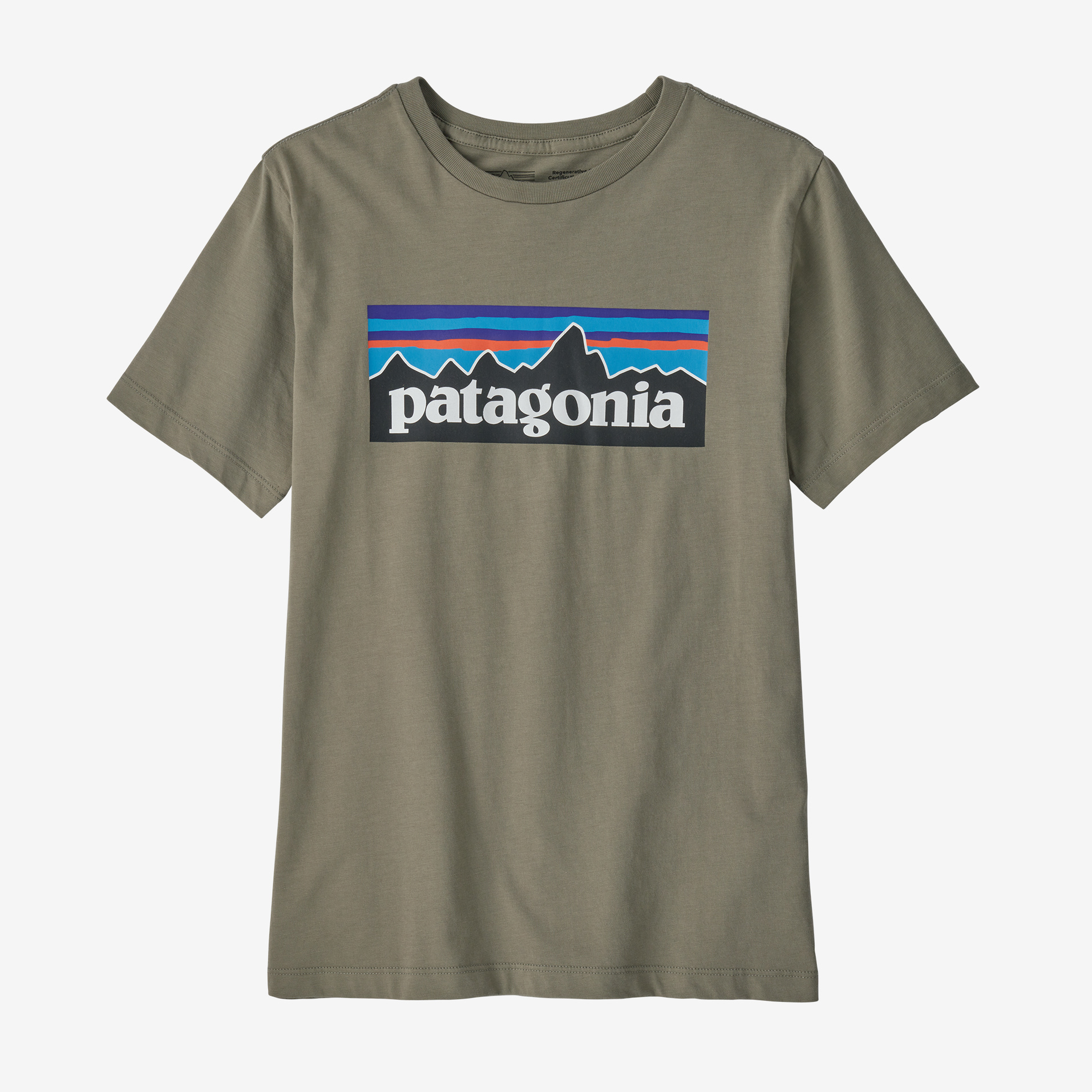 Patagonia Boys' Regenerative Organic Certified™ Cotton P-6 Logo T-Shirt