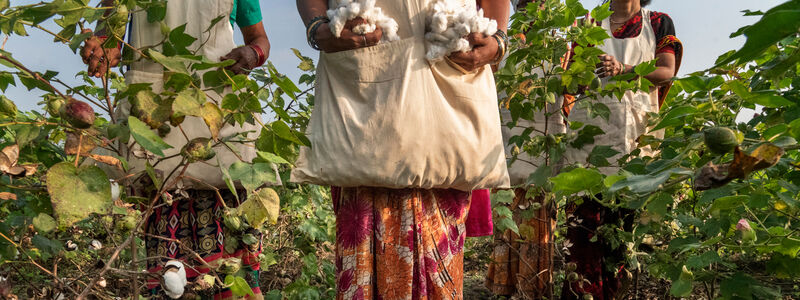 What we do in helping cotton growers to create long-term change.
