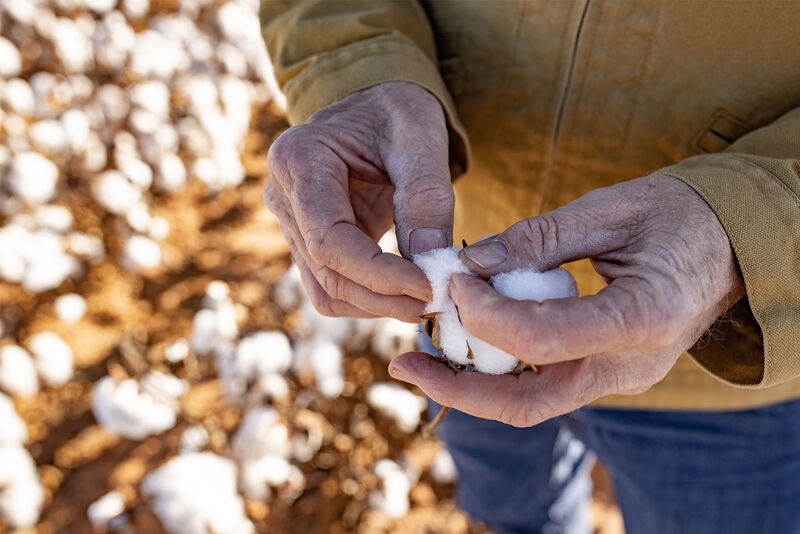 Skal skulder afstemning Organic Cotton Fabric - Patagonia